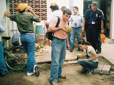 Workers sip coconuts while on break