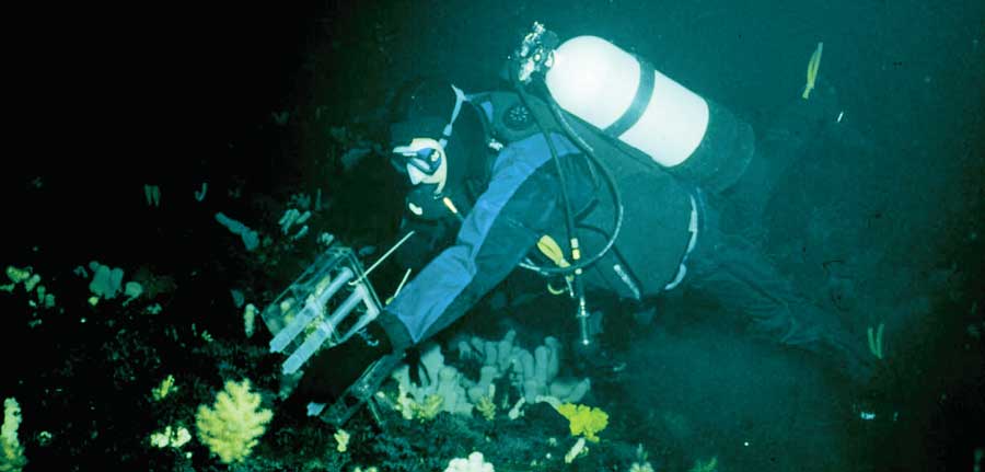 Dr. Marc Slattery dives in search of undersea samples.