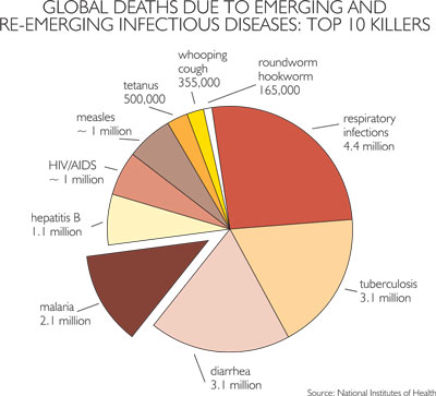 Pie chart showing breakdown of deaths globally by infectious disease
