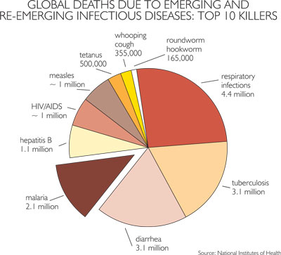 Pie chart showing breakdown of deaths globally by infectious disease
